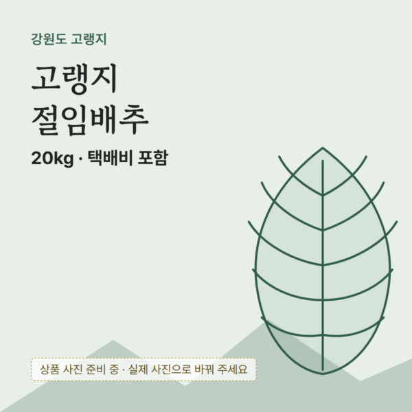 강원도 고랭지 절임배추 20kg